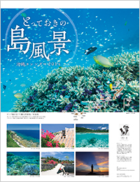 i0030_とっておきの島風景　沖縄カレンダー2014